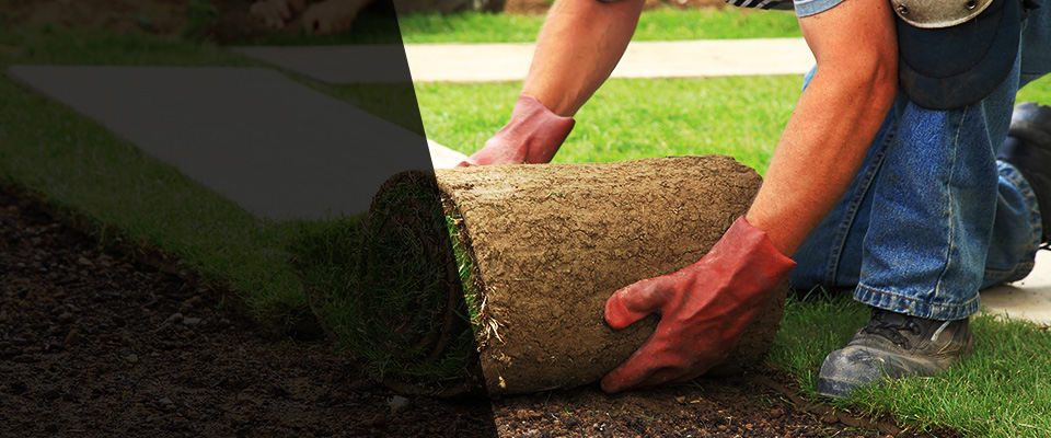 Rapidan Landscapers
